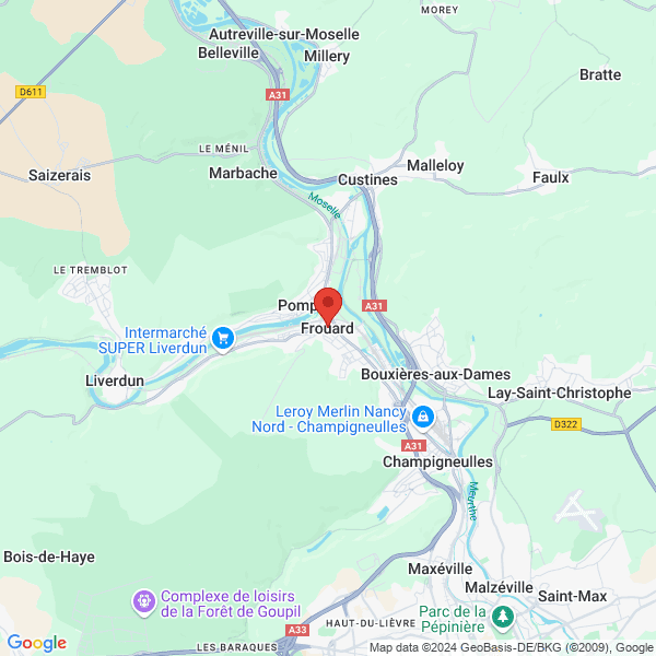 google map