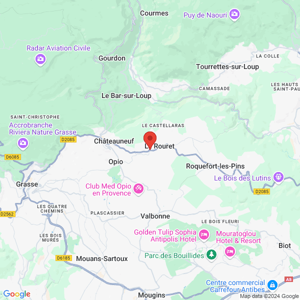 google map