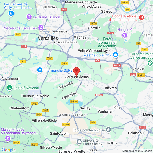 google map