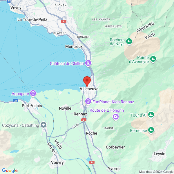 google map