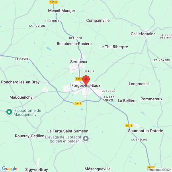 google map