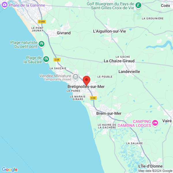 google map