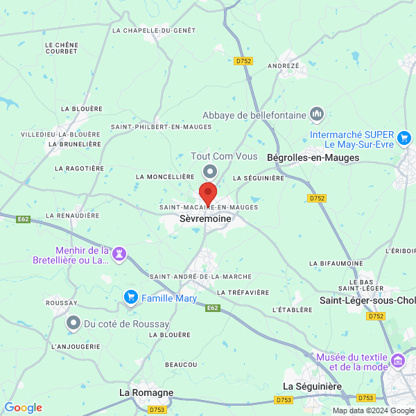 google map