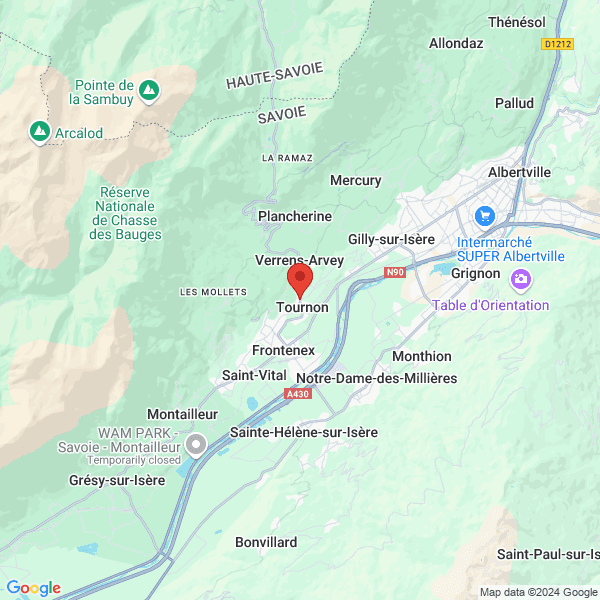 google map