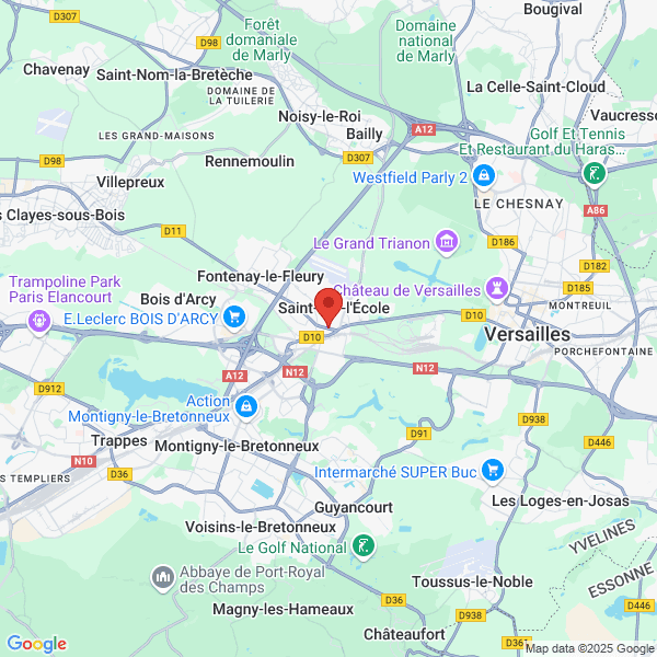 google map