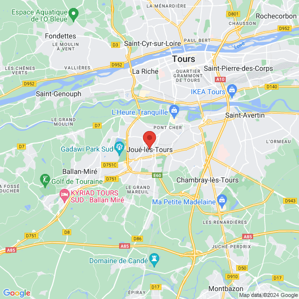 google map