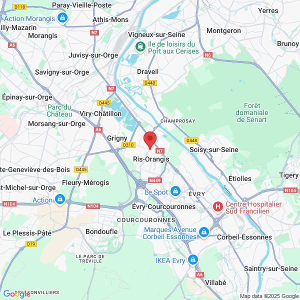 google map
