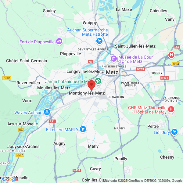 google map