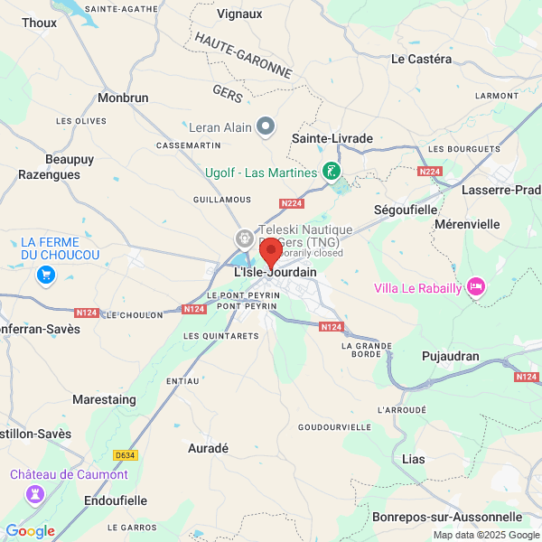google map