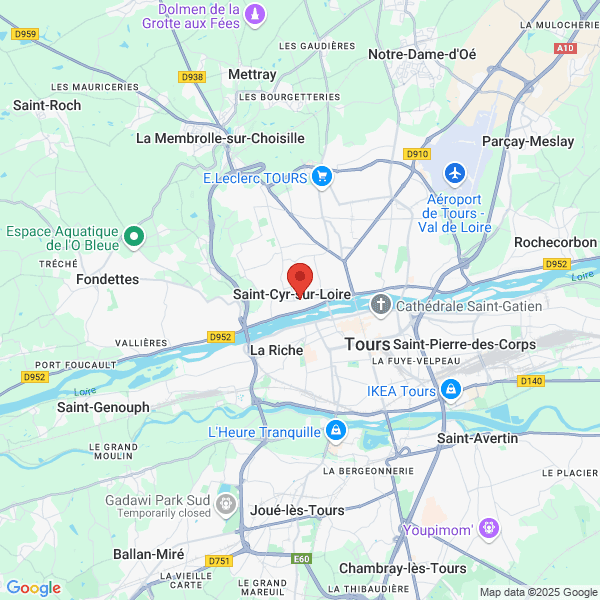 google map