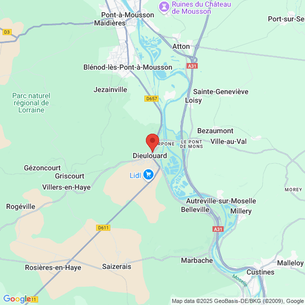 google map