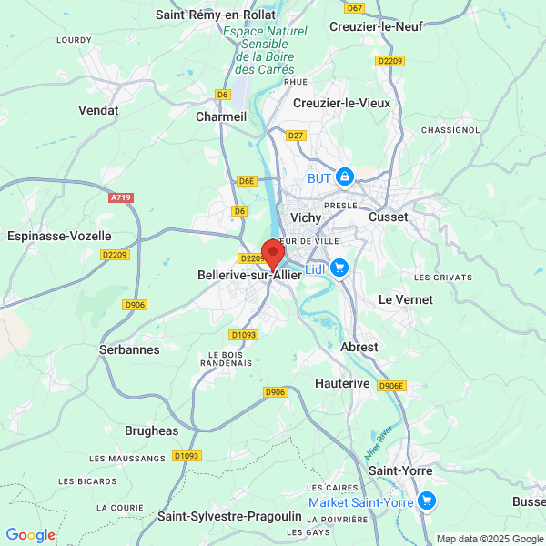 google map