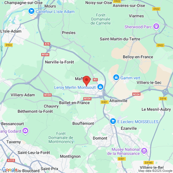 google map