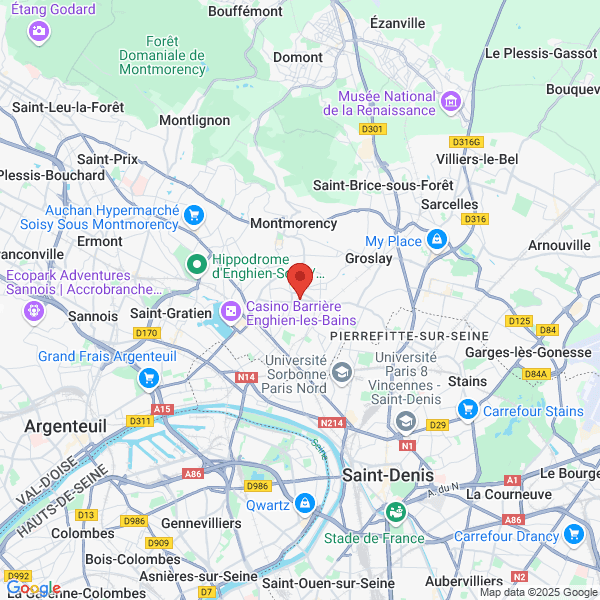 google map