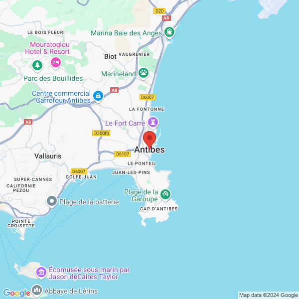 google map