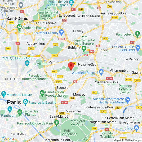 google map
