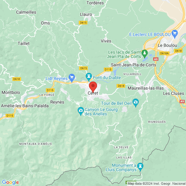 google map