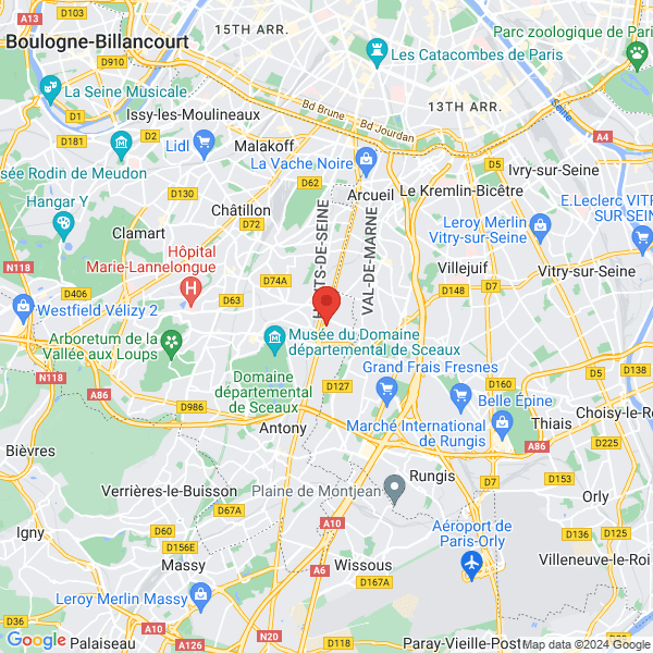 google map