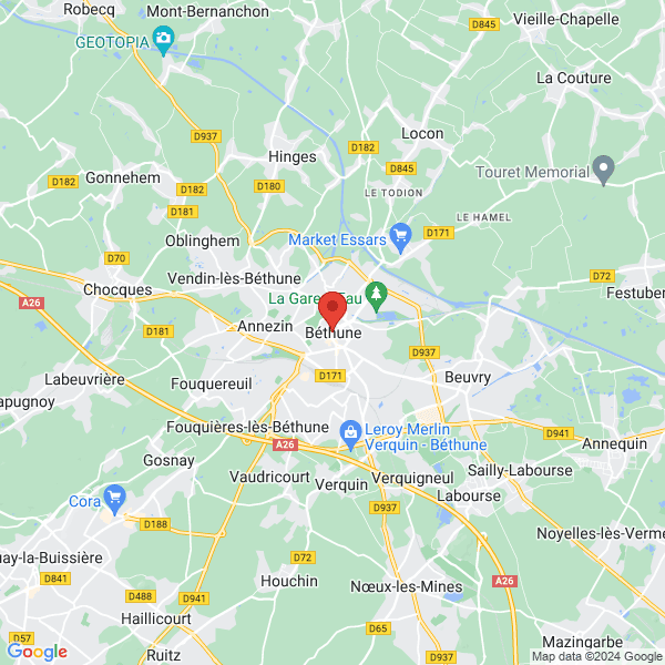 google map