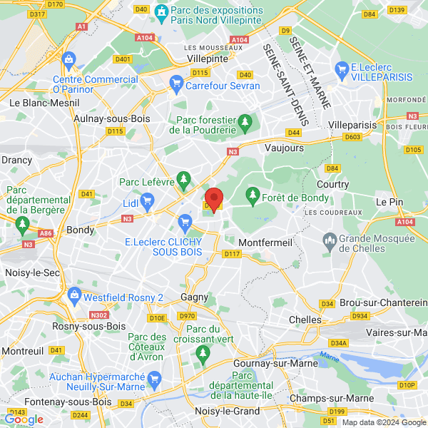 google map