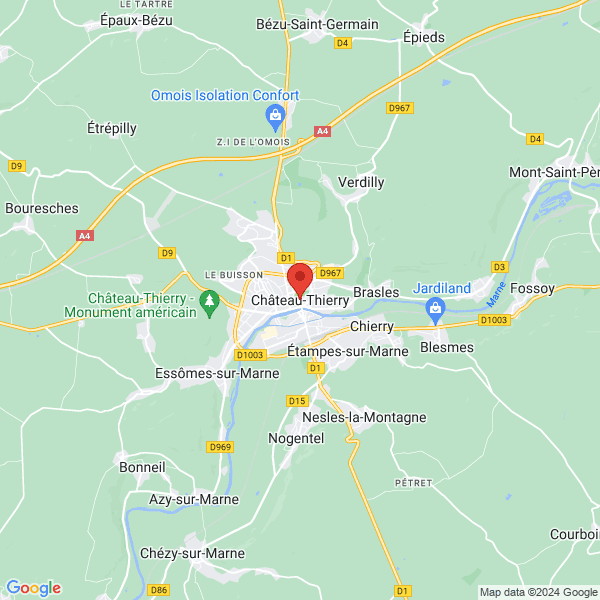 google map