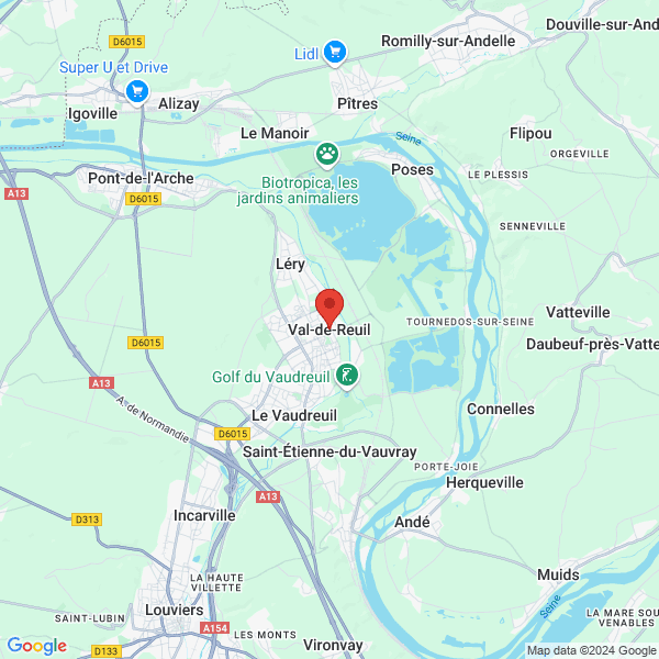 google map