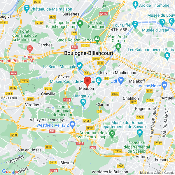 google map