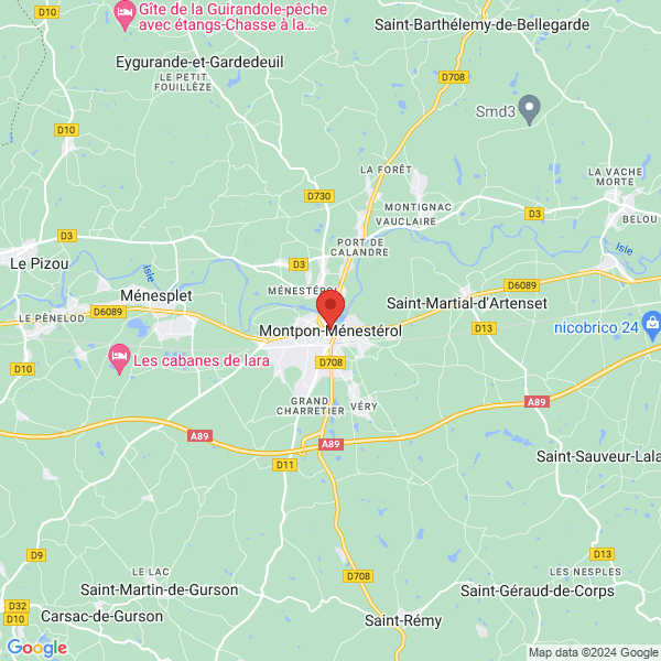 google map