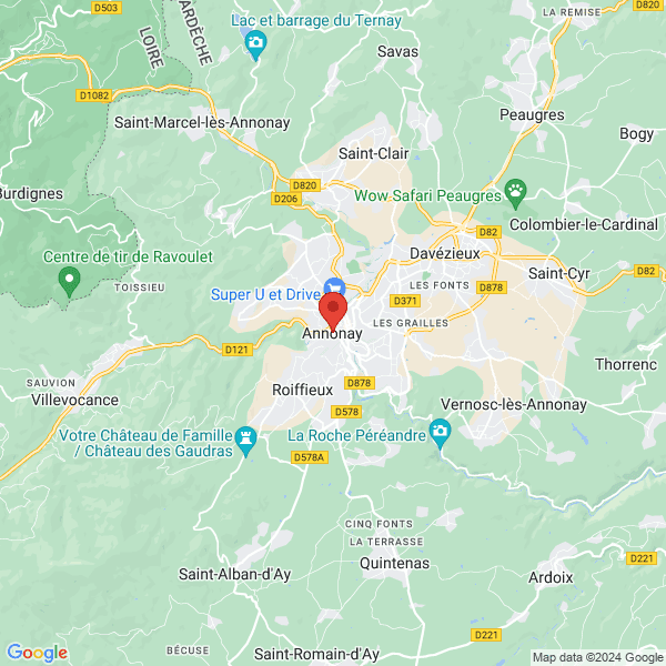 google map